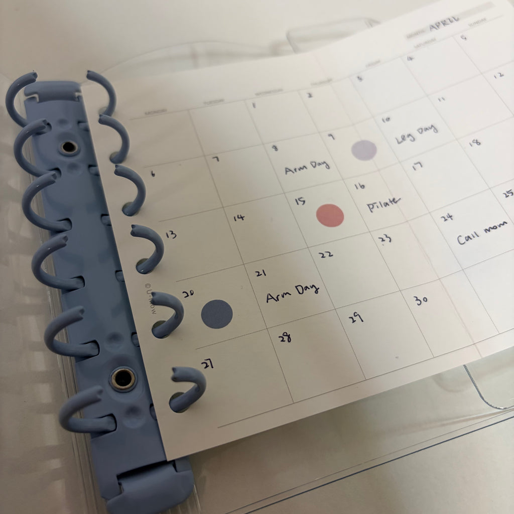 Minimalist Translucent Dot Sticker Roll - Muted Palette